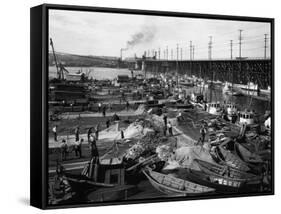 Fishermen's Terminal at Salmon Bay Photograph - Seattle, WA-Lantern Press-Framed Stretched Canvas