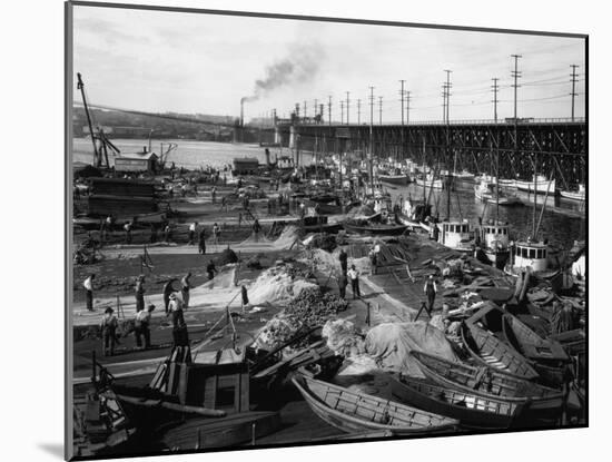 Fishermen's Terminal at Salmon Bay Photograph - Seattle, WA-Lantern Press-Mounted Art Print