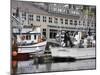 Fishermen's Terminal, Seattle, Washington State, United States of America, North America-Richard Cummins-Mounted Photographic Print