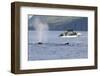 Fishermen Watching Humpback Whales in Quatsino Sound-Michael DeFreitas-Framed Photographic Print