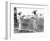 Fishermen with Nets, Mexico, C.1926-Tina Modotti-Framed Giclee Print
