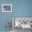 Fishermens Houses, Cefalu, Sicily, Italy, Europe-Martin Child-Framed Photographic Print displayed on a wall