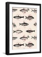 Fishes in Geometrics Nº4-Florent Bodart-Framed Giclee Print