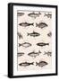 Fishes in Geometrics Nº4-Florent Bodart-Framed Giclee Print