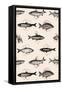 Fishes in Geometrics Nº4-Florent Bodart-Framed Stretched Canvas