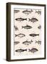 Fishes in Geometrics-Florent Bodart-Framed Giclee Print