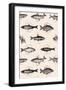 Fishes in Geometrics-Florent Bodart-Framed Giclee Print