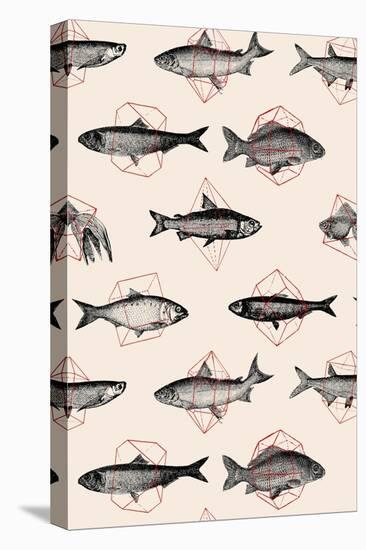 Fishes in Geometrics-Florent Bodart-Stretched Canvas