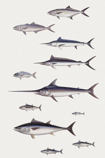 Giclee Print, , large