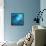 Fishes Swarm Underwater-null-Framed Stretched Canvas displayed on a wall