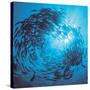 Fishes Swarm Underwater-null-Stretched Canvas