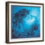 Fishes Swarm Underwater-null-Framed Photographic Print