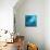 Fishes Swarm Underwater-null-Mounted Photographic Print displayed on a wall