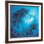 Fishes Swarm Underwater-null-Framed Photographic Print