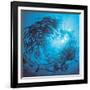 Fishes Swarm Underwater-null-Framed Photographic Print