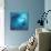 Fishes Swarm Underwater-null-Mounted Photographic Print displayed on a wall