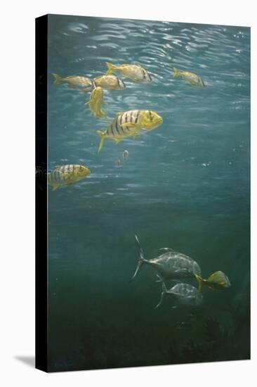 Fishes-Michael Jackson-Stretched Canvas