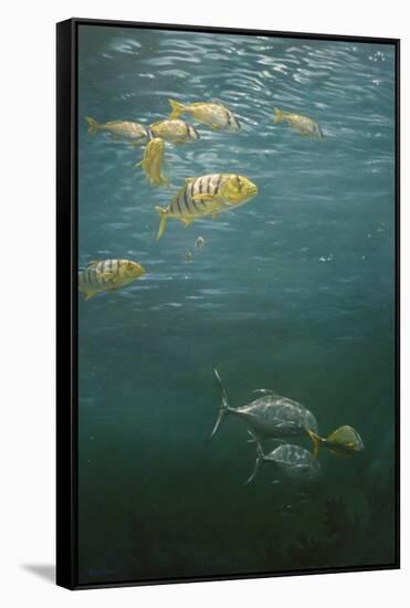 Fishes-Michael Jackson-Framed Stretched Canvas