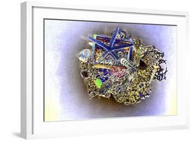 Fishet Tangle-Tom Kelly-Framed Giclee Print