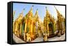 Fisheye Image of Shrines at Shwedagon Paya (Pagoda), Yangon (Rangoon), Myanmar (Burma), Asia-Lee Frost-Framed Stretched Canvas