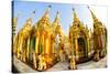 Fisheye Image of Shrines at Shwedagon Paya (Pagoda), Yangon (Rangoon), Myanmar (Burma), Asia-Lee Frost-Stretched Canvas