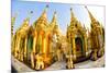 Fisheye Image of Shrines at Shwedagon Paya (Pagoda), Yangon (Rangoon), Myanmar (Burma), Asia-Lee Frost-Mounted Photographic Print