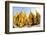 Fisheye Image of Shrines at Shwedagon Paya (Pagoda), Yangon (Rangoon), Myanmar (Burma), Asia-Lee Frost-Framed Photographic Print