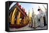 Fisheye Image of Temples and Shrines at Shwedagon Paya (Pagoda)-Lee Frost-Framed Stretched Canvas