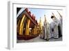 Fisheye Image of Temples and Shrines at Shwedagon Paya (Pagoda)-Lee Frost-Framed Photographic Print