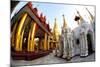 Fisheye Image of Temples and Shrines at Shwedagon Paya (Pagoda)-Lee Frost-Mounted Photographic Print