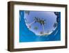 Fisheye view from swimming pool, South Maui, Hawaii, USA-Stuart Westmorland-Framed Photographic Print