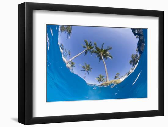 Fisheye view from swimming pool, South Maui, Hawaii, USA-Stuart Westmorland-Framed Photographic Print