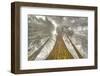 Fisheye view skyward of Redwood trees in fog. Redwood National Park, California-Adam Jones-Framed Photographic Print