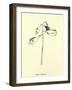 Fishia Marina-Edward Lear-Framed Giclee Print