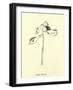 Fishia Marina-Edward Lear-Framed Giclee Print