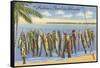 Fishin's Good in Florida-null-Framed Stretched Canvas