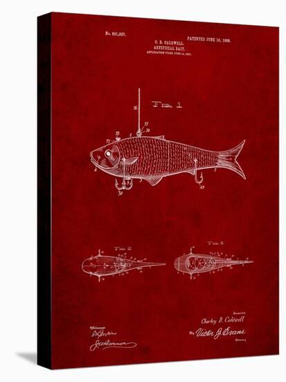 Fishing Artificial Bait-Cole Borders-Stretched Canvas