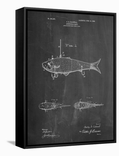 Fishing Artificial Bait-Cole Borders-Framed Stretched Canvas