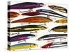 Fishing Artificial Lures, Thin Minnows-Anthony Harrison-Stretched Canvas