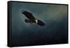 Fishing at Dusk-Jai Johnson-Framed Stretched Canvas