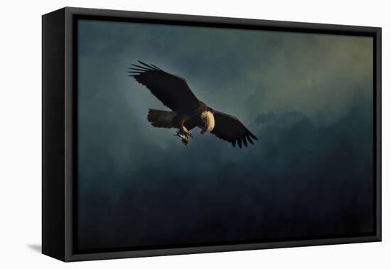 Fishing at Dusk-Jai Johnson-Framed Stretched Canvas