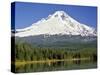 Fishing at Trillium Lake-Steve Terrill-Stretched Canvas