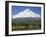 Fishing at Trillium Lake-Steve Terrill-Framed Photographic Print