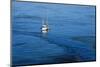 Fishing Boat Anchored in Oil Slick-null-Mounted Photographic Print