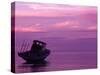 Fishing Boat at Sunset, Bunaken, Sulawesi, Indonesia-Jay Sturdevant-Stretched Canvas