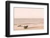 Fishing Boat at Sunset-Nathan Larson-Framed Photographic Print