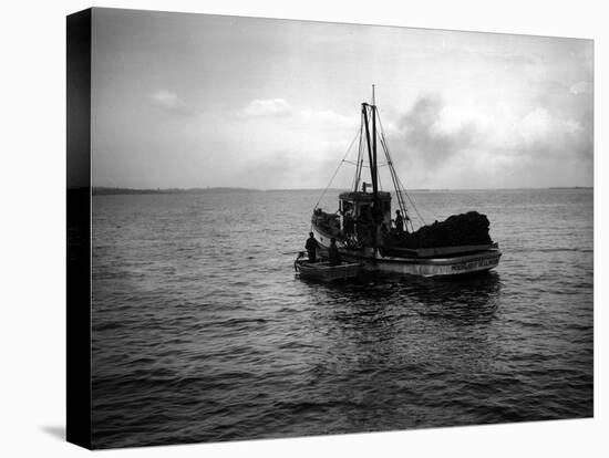 Fishing Boat, Circa 1913-Asahel Curtis-Stretched Canvas