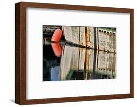 Fishing boat colors reflected in Charleston Marina, Oregon-Darrell Gulin-Framed Photographic Print