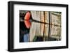 Fishing boat colors reflected in Charleston Marina, Oregon-Darrell Gulin-Framed Photographic Print