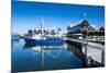 Fishing Boat Harbour of Fremantle, Western Australia, Australia, Pacific-Michael Runkel-Mounted Photographic Print